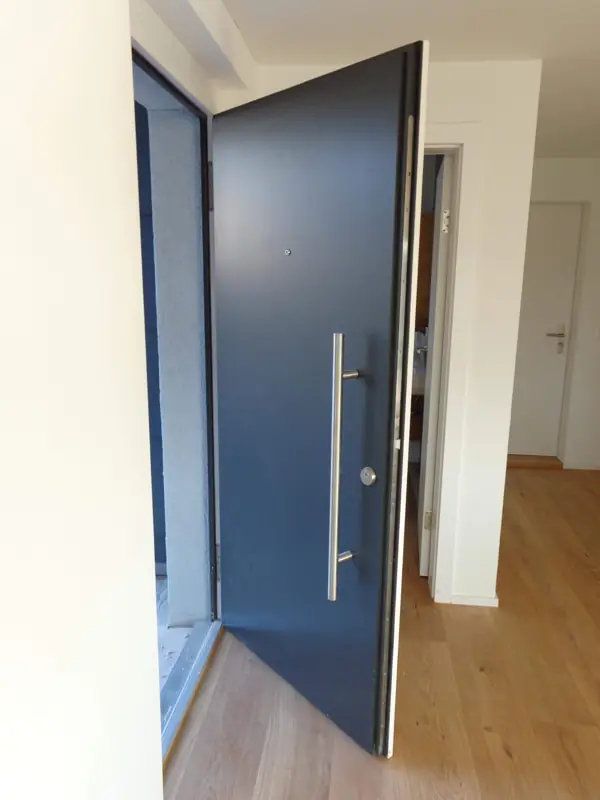Dunkle Haustüre mit Edelstahlgriff